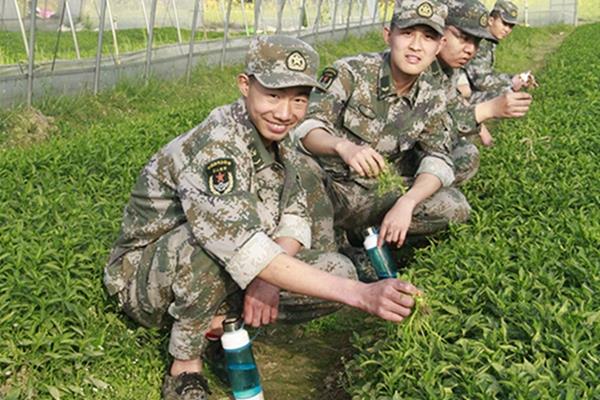 安排学生到学校附近农场进行体验教育